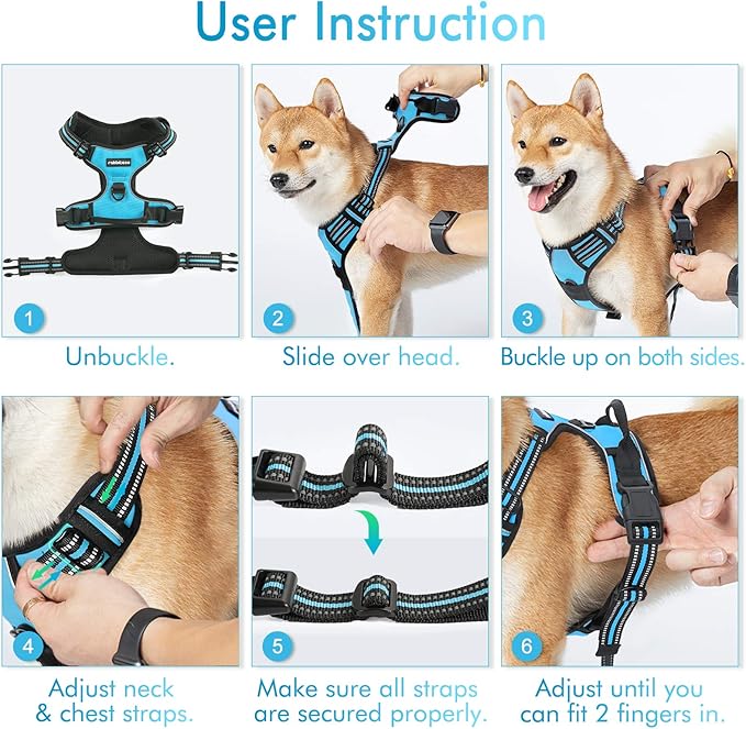 rabbitgoo Dog Harness No Pull with 2 Leash Clips, Adjustable Soft Padded, Reflective Oxford No Choke Pet Vest with Easy Control Handle for Large Dogs, Blue, XL-Mewly Pet