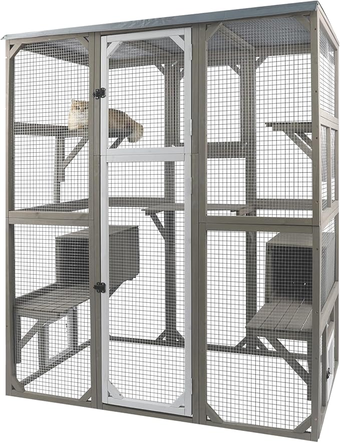 Catio Outdoor Cat Enclosure Large Window Cat House Walk in Kitty Cage with Multi-Level Platforms, Waterproof Roof for Mulitiple Cats (59" L x 29.5" W x 67.7" H)-Mewly Pet