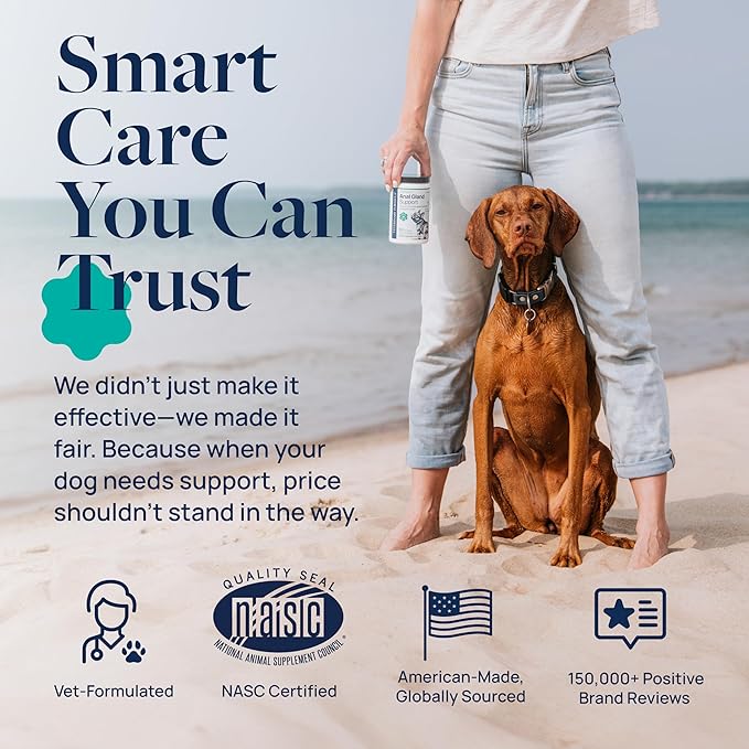 Veterinary Formula Anal Gland Support for Dogs – Vet-Formulated No Scoot Chews with Pumpkin, Ginger, Agave Inulin & Probiotics – Supports Scooting, Stool Quality & Digestive Health, 60 Soft Chews-Mewly Pet