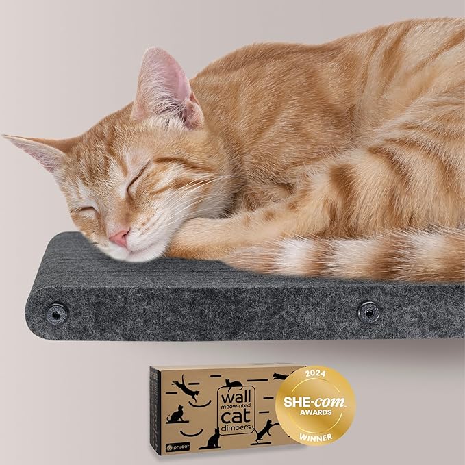 Wall Mounted Cat Perch Long Shelf by Pryde Pets - Floating Hammock Bed, 100% Sustainable PET Felt Feline Enrichment Climber Furniture for Indoor Cats, Modern Climbing Gym Jungle Design (Charcoal)-Mewly Pet