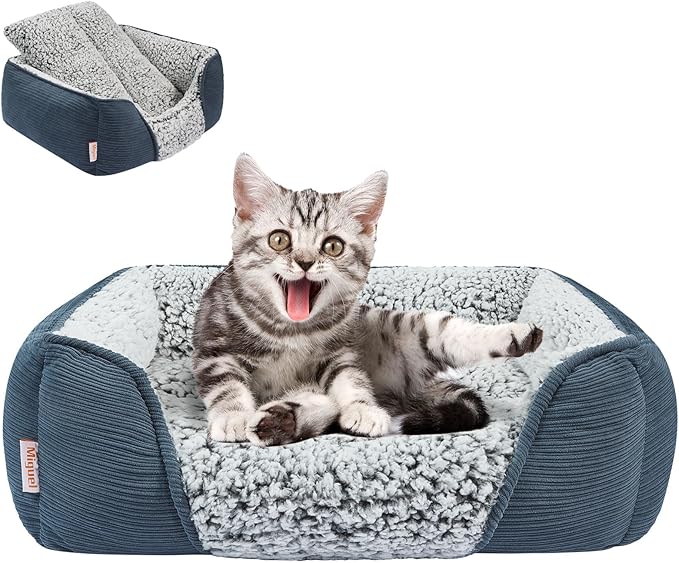 Miguel Washable Cat Beds for Indoor Cats with Removable Cushion, Easy to Wash Small Pet Sofa Bed with Side, Rectangle Bolster Kitten Bed Calming Cuddle Puppy Bed with Anti-Slip Bottom, Blue 18 Inch-Mewly Pet
