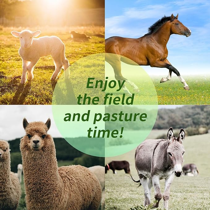 17-Inch Equine Ball for Play & Training - Anti-Burst, Mega Horse Soccer Ball for Goat, Donkey-Mewly Pet