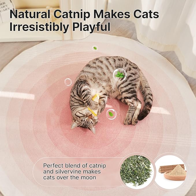 Potaroma Loofah Cat Chew Toys with Catnip and Silvervine, 3PCS Interactive Kitten Loofa Dental Teething and Biting Catnip Toys for Cat's Dental Cleaning, 3.2 Inches-Mewly Pet