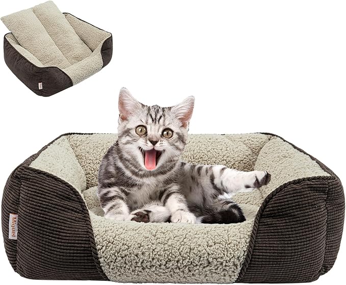 Miguel Washable Cat Beds for Indoor Cats, Easy to Wash Small Pet Sofa with Removable Cushion, Rectangle Bolster Kitten Bed with Anti-Slip Bottom, Brown 18 Inch-Mewly Pet