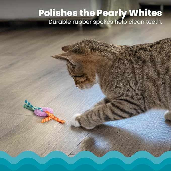 Catstages Kitty Chew Wheel, Dental Cat Toy with Catnip Oil, Teeth Cleaning, Healthy Chewing, Boredom Relief, Kicking & Batting for Kittens and Adult Cats, Purple-Mewly Pet