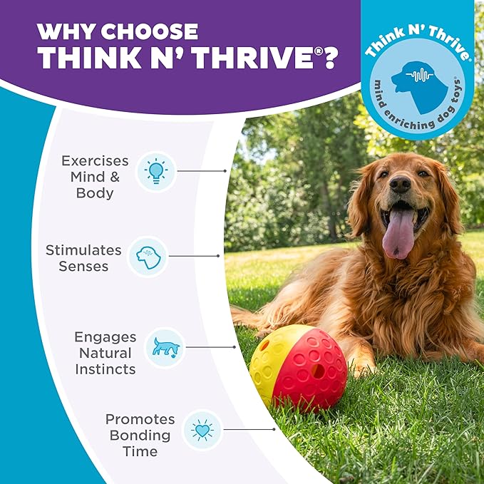 Outward Hound by Nina Ottosson Treat Tumble Interactive Puzzle Ball Dog Toy, Level 1 Beginner, Pink, Large (5.75" Diameter)-Mewly Pet