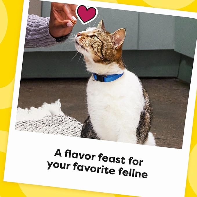 Temptations MixUps Catnip Fever Flavor Crunchy and Soft Cat Treats, 30 oz. Tub-Mewly Pet