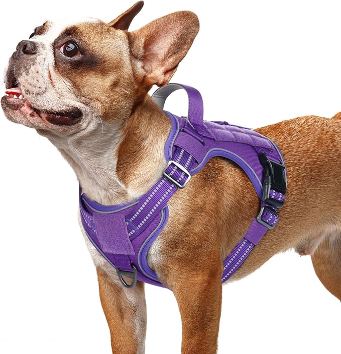rabbitgoo Dog Harness Small Sized No Pull, Tactical Service Pet Vest with Molle and Control Handle, Adjustable and Reflective Military Harness for Easy Walking and Training, Purple, S-Mewly Pet