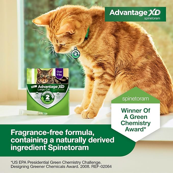 Advantage XD Large Cat Flea Prevention & Treatment For Cats over 9lbs. | 2-Topical Doses, 2-Months of Protection Per Dose-Mewly Pet
