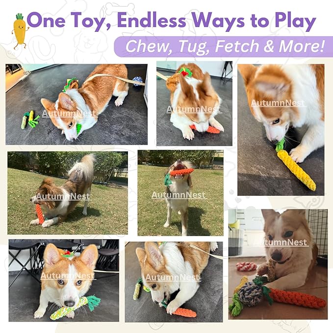 4PCS Mixed Color Woven Pet Chew Set (Yellow, Green, Orange, Rainbow), Dog Chew Toys, Cat Teething Toys, Durable & Safe Interactive Pet Toys-Mewly Pet