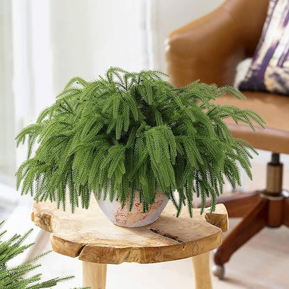 12 Pcs Artificial Norfolk Pine Branches, Norfolk Pine Artificial Pine Stems DIY Crafts Faux Christmas Greenary Norfolk Pine Branches for Xmas Wreath Garland Home Decor (12)