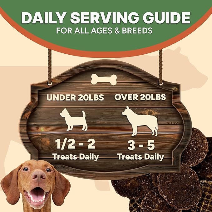 Gaines Family Farmstead Beef Chips for Dogs – 6 oz, Natural Single-Ingredient Dog Treats, High-Protein Rawhide-Free Chews, Healthy Grain-Free Snacks, Made in USA-Mewly Pet