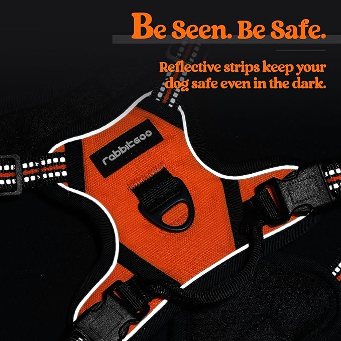 rabbitgoo Dog Harness No Pull with 2 Leash Clips, Adjustable Soft Padded, Reflective Oxford No Choke Pet Vest with Easy Control Handle for Puppy, Orange,XS-Mewly Pet