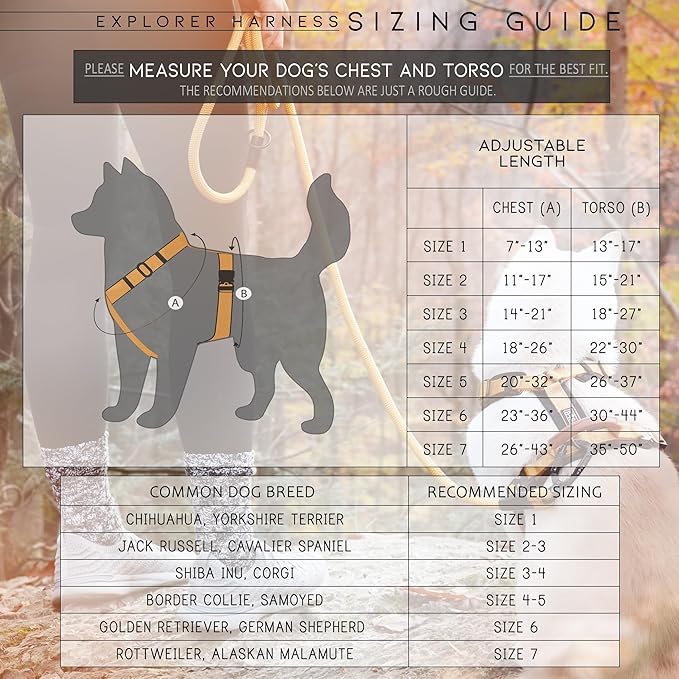 MADE TO ROAM Premium Explorer Harness - Y-Shaped Dog Harness with Adjustable Durable Nylon, Soft Padding, Metal Buckles and Leather Handle for Small, Medium, Large Dogs (New York Afterlight, Size 5)-Mewly Pet