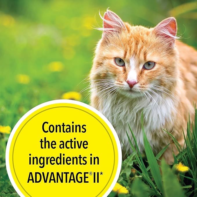 TevraPet Actispot II Flea Treatment for Large Cats 9+ lbs | 6 Doses | Powerful Prevention and Control-Mewly Pet