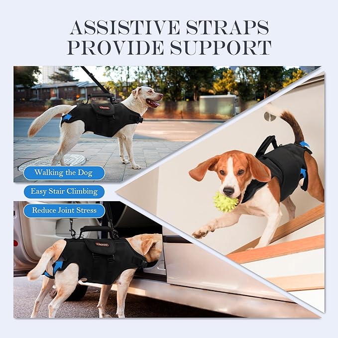 Dog Lift Harness, Full Body Support with Adjustable Control Handle for Medium Senior Dogs, Post-Surgery Recovery & Joint Problems (Oxford Cloth, M)-Mewly Pet