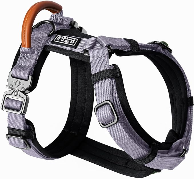 MADE TO ROAM Premium Explorer Harness - Y-Shaped Dog Harness with Adjustable Durable Nylon, Soft Padding, Metal Buckles and Leather Handle for Small, Medium, Large Dogs (Montana Moonrise, Size 4)-Mewly Pet