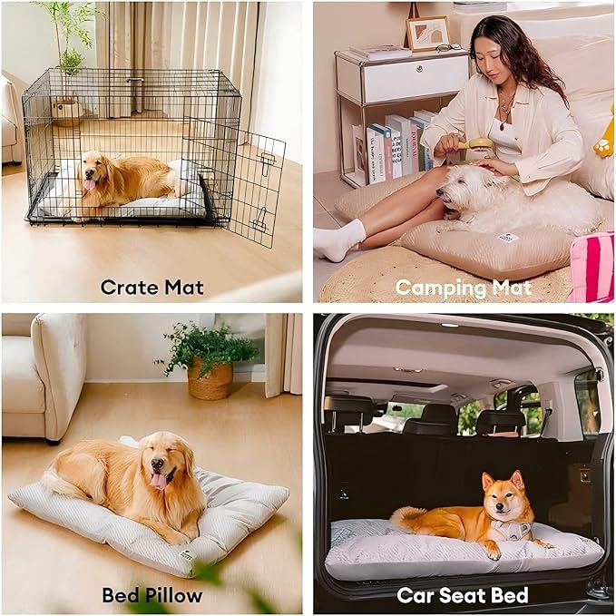 FUNNY FUZZY 2 in 1 Dog Crate Bed Pad for Large Sized Dog, Washable Reversible Pet Soft Mats,Durable Fluffy Kennel Mattress,Indoor Cats, 35" × 23", Beige-Mewly Pet
