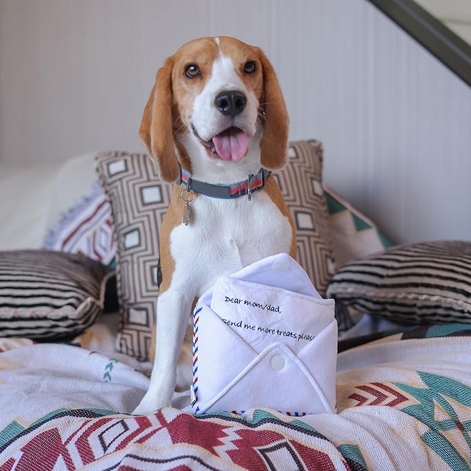 Hong Kong Airmail Soft Plush Nose-Work Squeaky Dog Toy - Durable & Cute 2-in-1 Envelope & Letter for Interactive Play, Extendable Cloth to Hide Food for Puzzle Fun, Small Medium Dogs-Mewly Pet