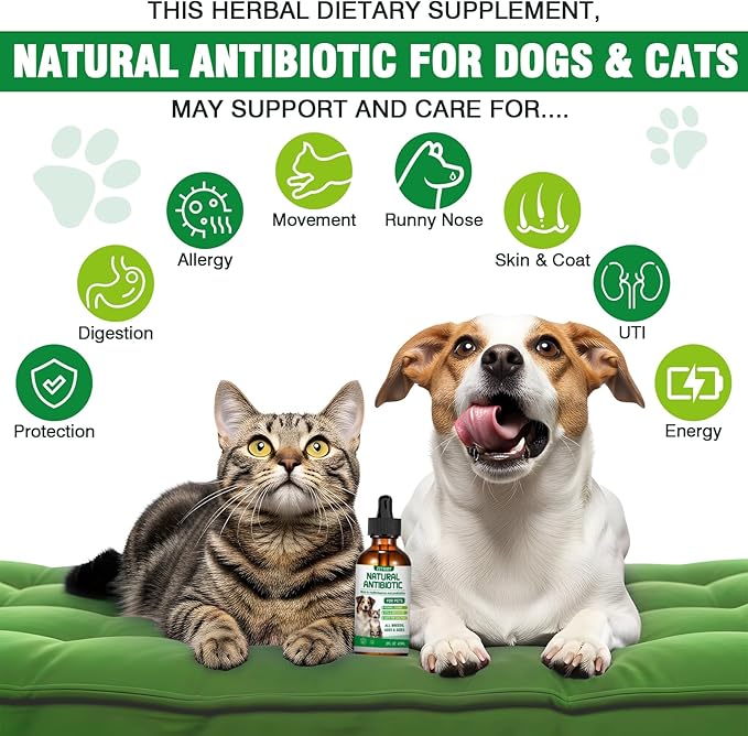 Natural Antibiotics for Dogs and Cats,Antibiotic for Cats,Dog Antibiotics in Drops,Help with Allergies, Itching, Coughs, UTIs,Skin, Coat, Digestion Care,for All Breeds & Ages,Pet Supplements&Vitamins-Mewly Pet