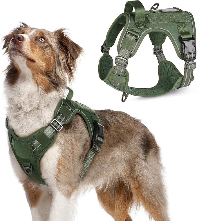 rabbitgoo Tactical Dog Harness Medium Sized Dog, No Pull Military Service Vest with Handle & Molle, Easy Control for Training Walking, Adjustable Reflective Straps, Green, M-Mewly Pet