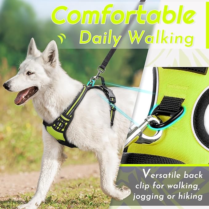 Eagloo Dog Harness Small Sized Dog, No Pull Service Vest with Reflective Strips and Control Handle, Adjustable and Comfortable for Walking, No Choke Pet Harness with 2 Metal Rings, Green, S-Mewly Pet