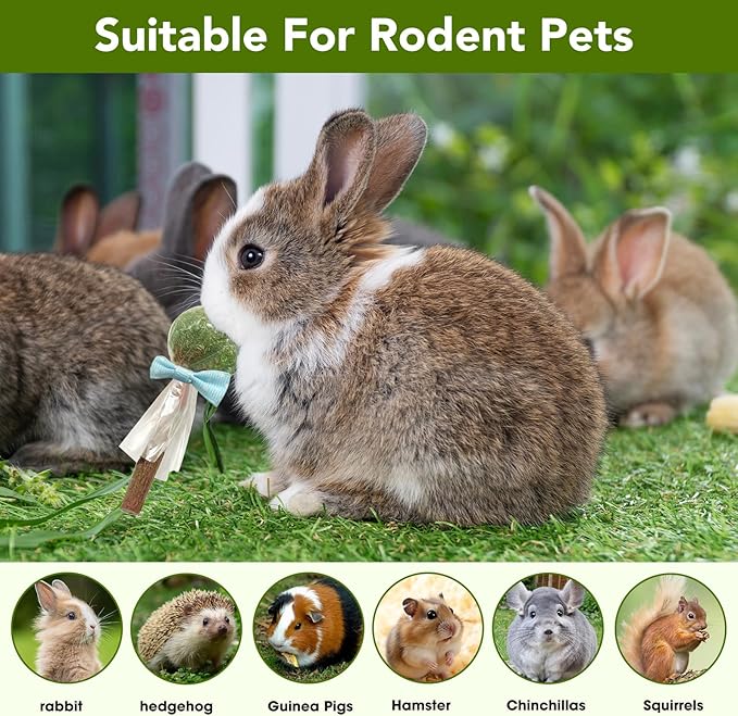 18-Pack Natural Alfalfa & Apple Wood Chew Lollipops for Small Pets - Healthy Dental Toys for Hamsters, Rabbits, Guinea Pigs, Chinchillas-Mewly Pet