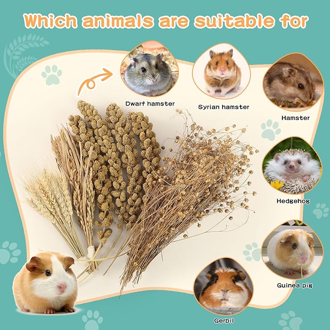 Hamster Spray Set - Natural Snack Grains & Chew Toys for Cage Decoration Accessories, Soft Bedding for Dwarf Syrian Hamsters, Gerbils, Mice & Small Pets-Mewly Pet