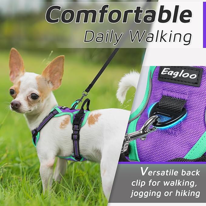 Eagloo Small Dog Harness No Pull, Service Vest with Reflective Strips and Control Handle, Adjustable and Comfortable for Walking, No Choke Pet Harness with 2 Metal Rings, Purple & Green, XS-Mewly Pet