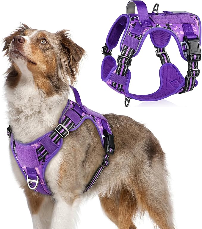 rabbitgoo Tactical Dog Harness Medium Sized Dog, No Pull Military Service Vest with Handle & Molle, Easy Control for Training Walking, Adjustable Reflective Straps, Purple Camo, M-Mewly Pet