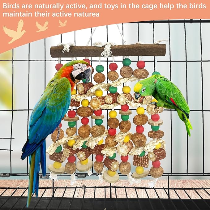 PINVNBY Large Parrot Toys Natural Nuts Corn Cob Wooden Chewing Tearing Toy for African Grey Macaws Amazon Cockatoos Eclectus Conures Cockatiels Cockatoo and Large Medium Parrot Birds (Colorful)-Mewly Pet