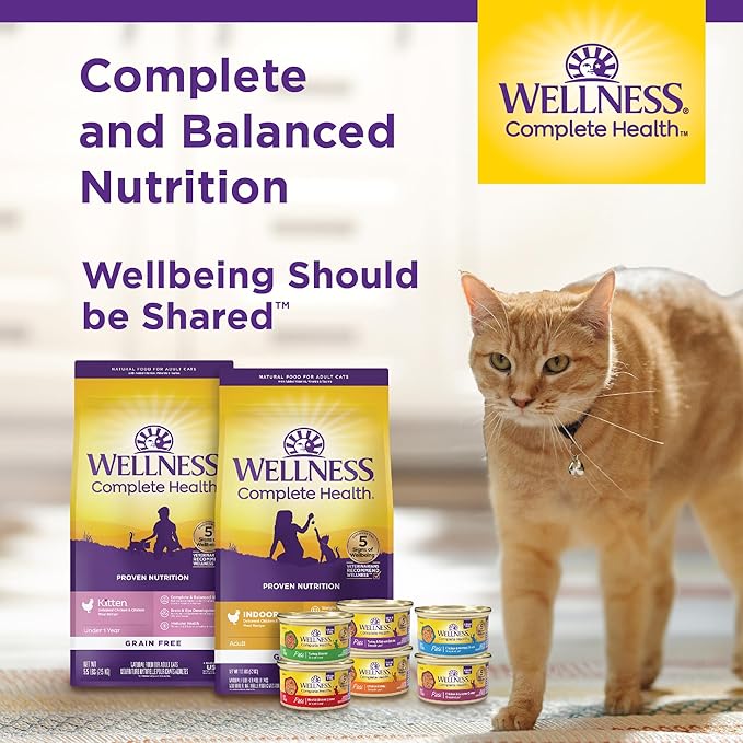 Wellness Complete Health Pate Kitten Wet Cat Food Canned Food, Natural, Protein-Rich, Grain Free, 3 Ounce Cans, 24 Pack, (Whitefish & Tuna)-Mewly Pet