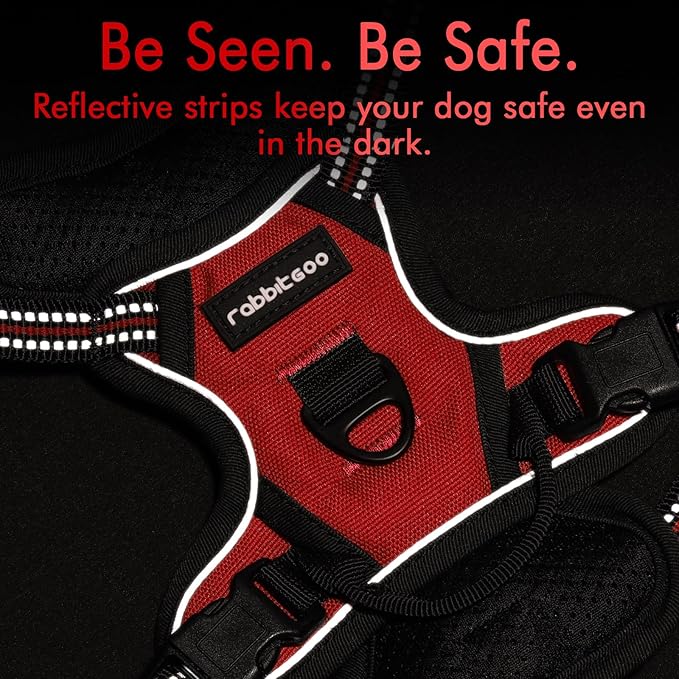 rabbitgoo Dog Harness No Pull with 2 Leash Clips, Adjustable Soft Padded, Reflective Oxford No Choke Pet Vest with Easy Control Handle for Puppy, Red,XS-Mewly Pet