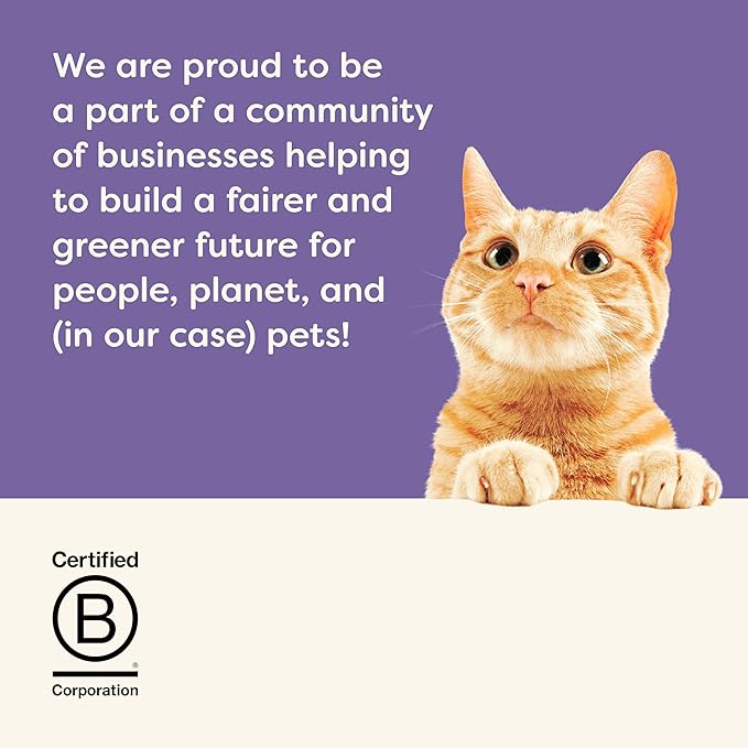 Applaws Lickable Cat Treats, Natural Grain-Free Purée, Limited Ingredient, Variety of Chicken, Tuna, & Salmon Squeeze Up Cat Treats (60 x 0.5 oz Sachets)-Mewly Pet