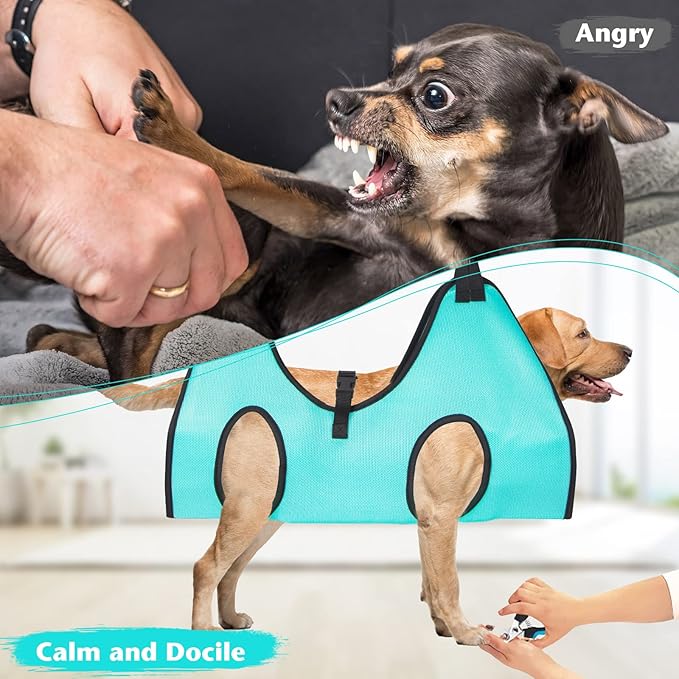 Dog Grooming Hammock - Upgrade Pet Grooming Harness for Nail Trimming (XXL 120lb), Dog Sling for Nail Clipping, Dog Hanging Holder Hanger for Cutting Nail with Nail Clippers, Green-Mewly Pet