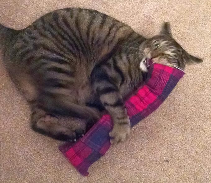 15" Cat Kicker Toy with Refillable Catnip Pocket (Red Flannel) - Filled with 1 oz Premium Canadian Catnip-Mewly Pet