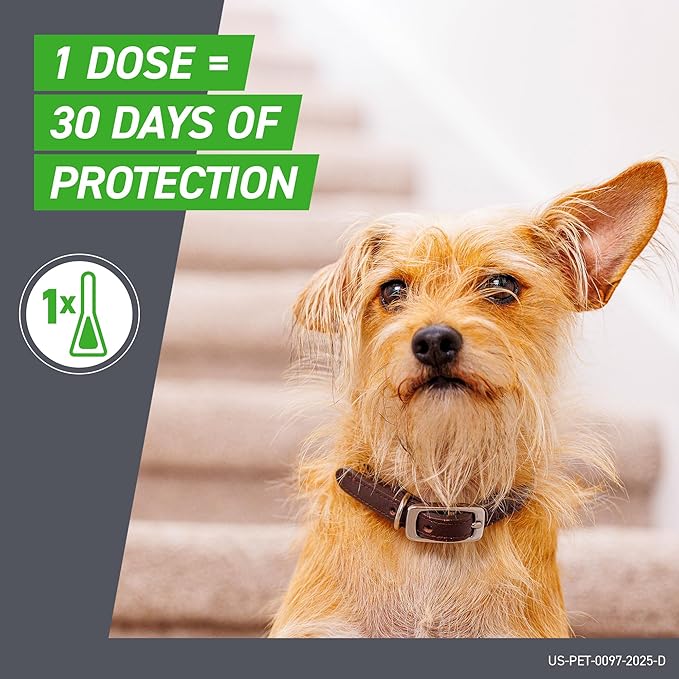 FRONTLINE Plus Flea and Tick Treatment for Large Dogs Up to 45 to 88 lbs. 8 Treatments-Mewly Pet