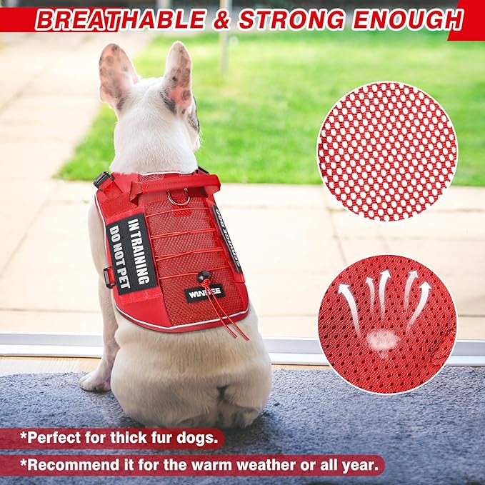 WINSEE Service Dog in Training Mesh Harness with 10 Pet Patches, Soft Air Mesh Breathable Tactical Dog Molle Vest, Reflective Military Pet Vest for Walking Hiking for Medium Dogs-Mewly Pet