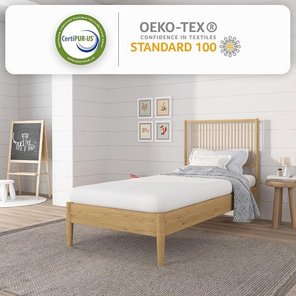 NapQueen 5 Inch Twin Memory Foam Mattress, Medium Feel, CertiPUR-US Certified, Bed in a Box, Breathable Soft Fabric Cover, White