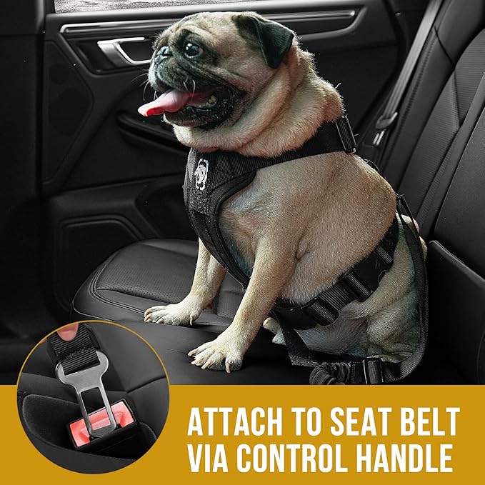 OneTigris Dog Safety Vest Harness, REX Car Use Dog Harness Adjustable Pet Harness with Leash for Medium Large Dogs(Black,L)-Mewly Pet