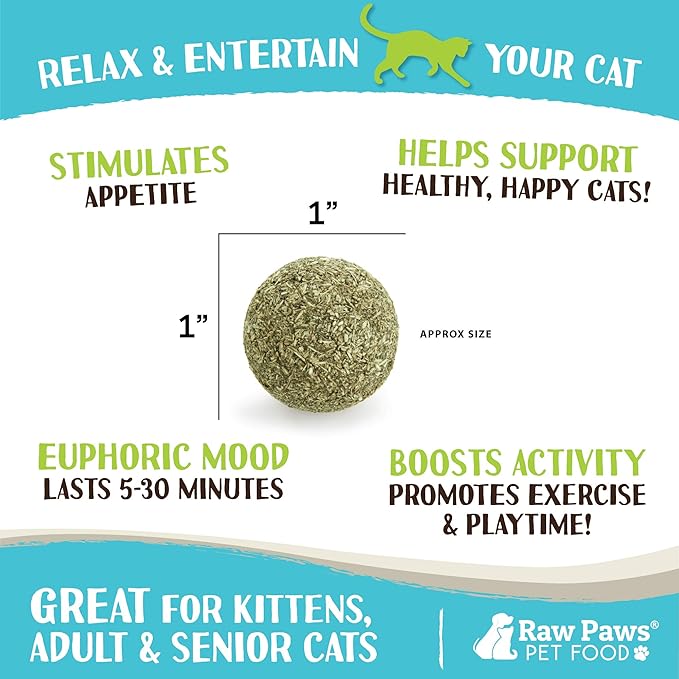 Raw Paws Catnip Balls for Cats, (6-Count) - Interactive Cat Toy for Indoor Cats - Cat Nip Licking Balls-Mewly Pet