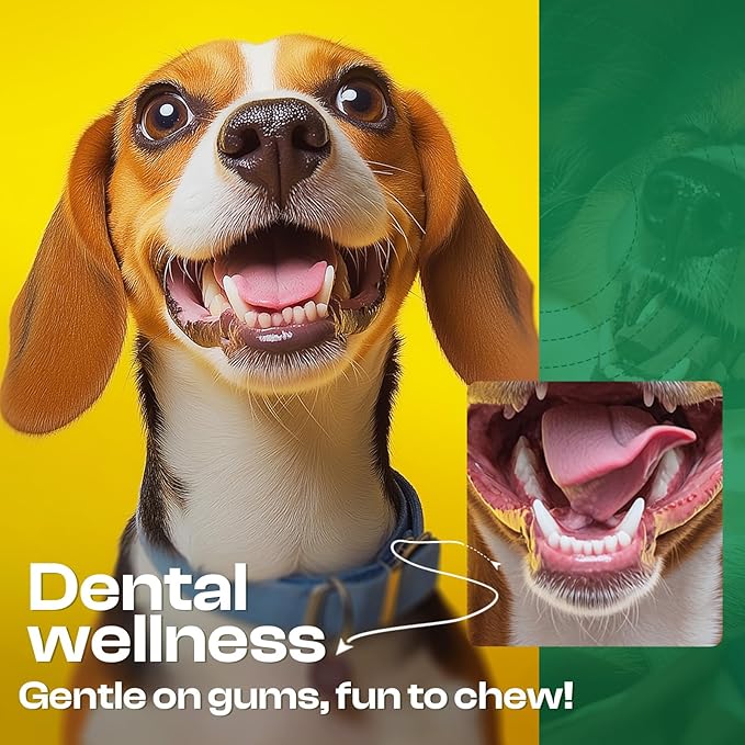 Dog Toys for Aggressive Chewers - Heavy Duty Chew Proof Durable Toy for Large Breed Dogs, Interactive Tough Nylon Bone for Boredom Relief & Mental Stimulation-Mewly Pet