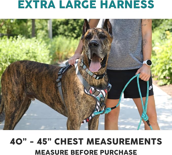 Embark Adventure Dog Harness, Reflective Trim XL Dog Harness for Extra Large Dogs No Pull - Military Grade Nylon, 2 Leash Clips & Gel Lined Handle.-Mewly Pet