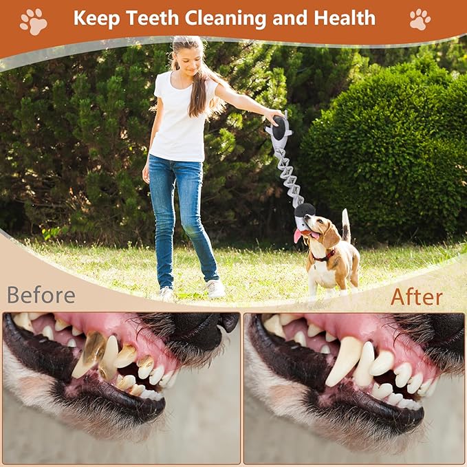 Squeaky Plush Dog Toys for Puppy Toys, Interactive Tug of War Dog Pull Toys, Stuffed Dog Pet Toys for Teething Puppy, Indoor and Outdoor Play for Small Medium Dogs and Large Dogs-Mewly Pet