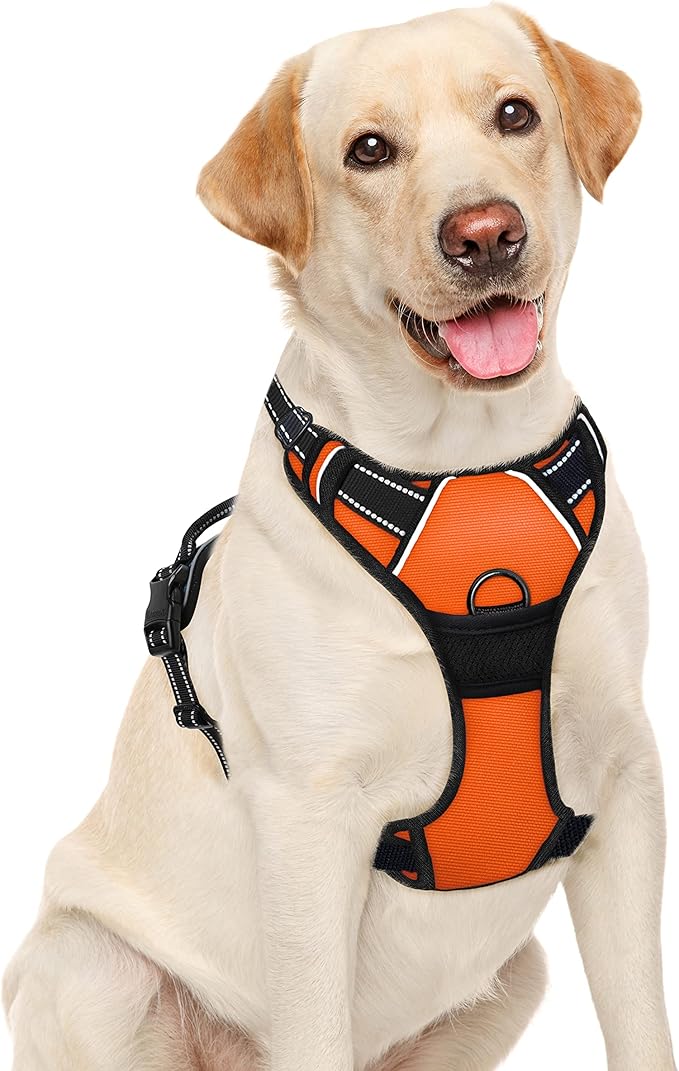 BARKBAY No Pull Dog Harness Large Step in Reflective Dog Harness with Front Clip and Easy Control Handle for Walking Training Running(Orange,L)-Mewly Pet