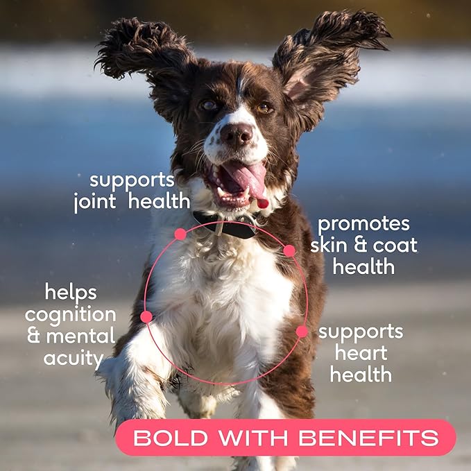 Native Pet The Daily Dog Supplement (60 Scoops) & Salmon Oil for Dogs & Cats (8 Oz) - 11 in 1 Multivitamin & Pure Omega-3 Fish Oil Supplement for Skin & Coat, Joint, Heart Health & Anti-Inflammatory-Mewly Pet