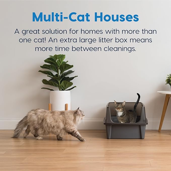 IRIS USA XX-Large Cat Litter Box, Open Top Extra Large Litter Box for Big Cats and Multi-Cat Households, High Sided Scatter Shield, Easy to Clean, 30" L x 20" W x 14" H, Gray-Mewly Pet