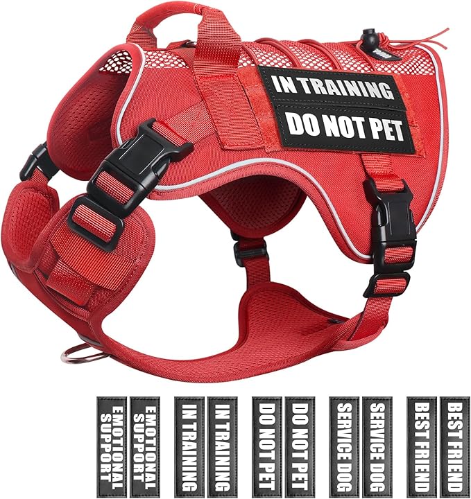 WINSEE Service Dog in Training Mesh Harness with 10 Pet Patches, Soft Air Mesh Breathable Tactical Dog Molle Vest, Reflective Military Pet Vest for Walking Hiking for Large Dogs-Mewly Pet
