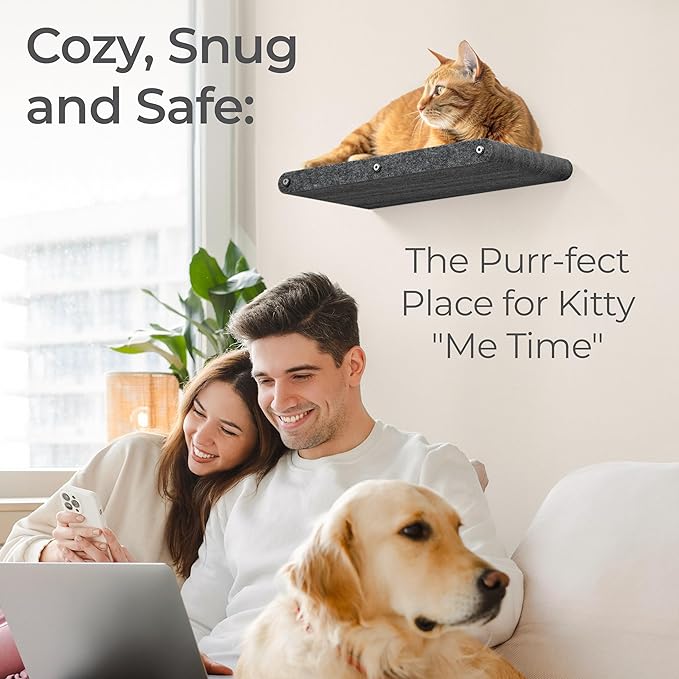 Wall Mounted Cat Perch Long Shelf by Pryde Pets - Floating Hammock Bed, 100% Sustainable PET Felt Feline Enrichment Climber Furniture for Indoor Cats, Modern Climbing Gym Jungle Design (Charcoal)-Mewly Pet