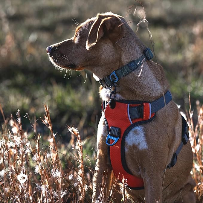 Embark Adventure Dog Harness, Reflective Trim No Pull Dog Harness Medium Sized Dogs - Military Grade Nylon, Front Clip with Gel Lined Handle.-Mewly Pet